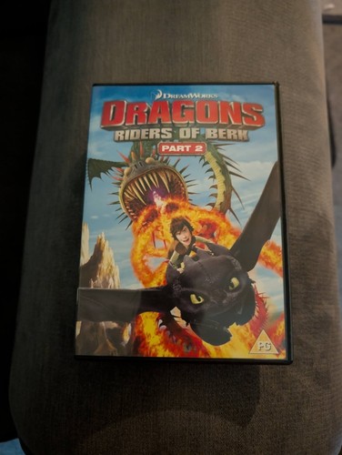 Dragons riders berk - of,