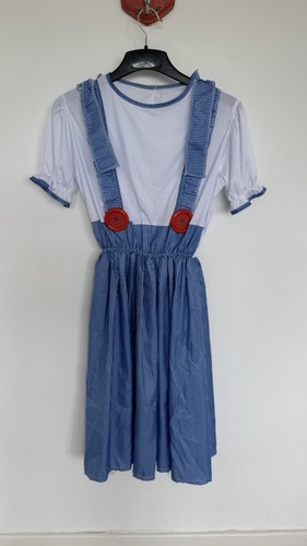Wizard dorothy costume - dorothy,