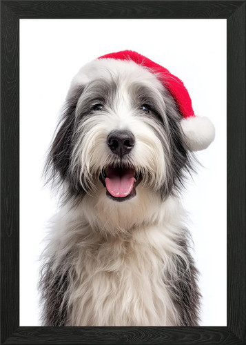 Polish lowland sheepdog with - sheepdog,