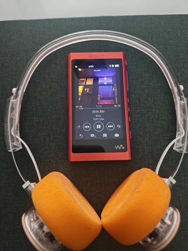 Sony a55 non - nw-a55, model