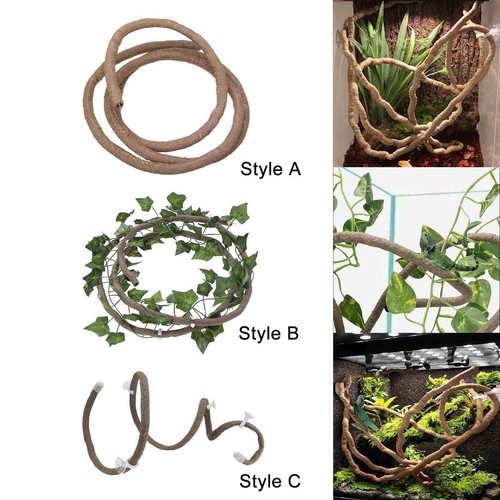 Terrarium reptile vines jungle - reptile,