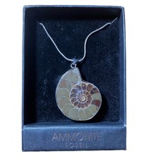 Ammonite Fossil Necklace Pendant