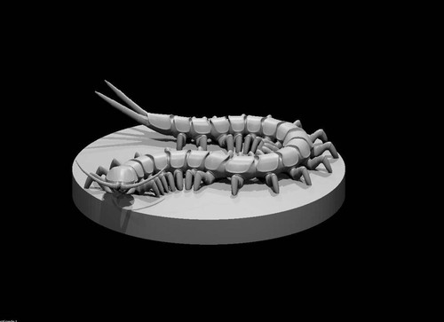 Giant centipede for d - centipede,