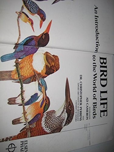 Bird life introduction to - bird, life: