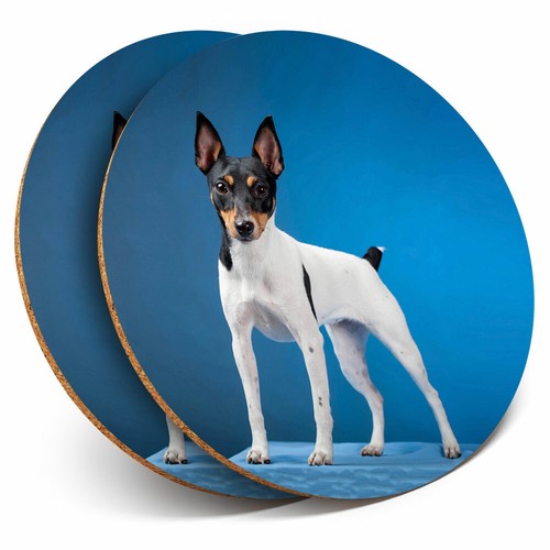 Coasters toy fox terrier - 2,