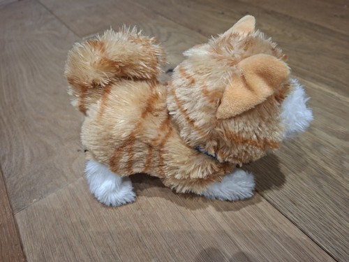 Pitter patter pets pretty - patter,