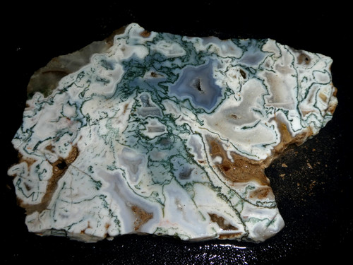Green tree agate slab x - tree,