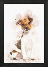 Jack russell terrier puppy