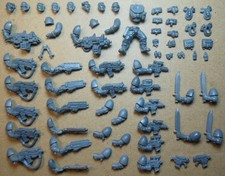 Space Marines - Scouts 2005 -