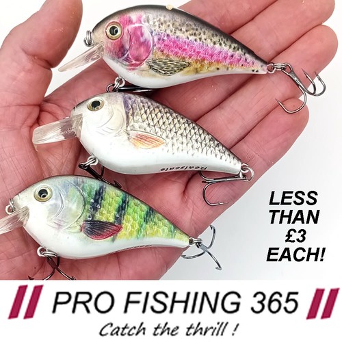 Pike bass fishing bait - bait, lure