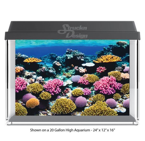 Sea ocean floor - sea,