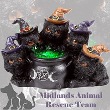 Witches Black Cat LED Bubbling