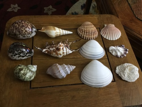 Collection large natural - collection,