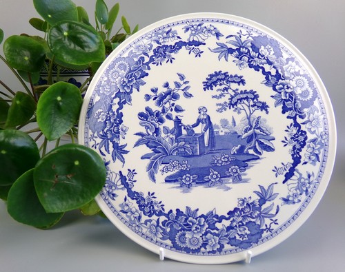 Vintage spode cake - cake, plate.