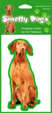 Hungarian vizsla dog - vizsla, lovers