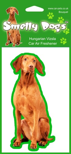Hungarian vizsla dog lovers - vizsla,