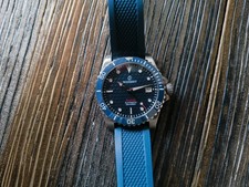 Boderry Seaturtle Ocean