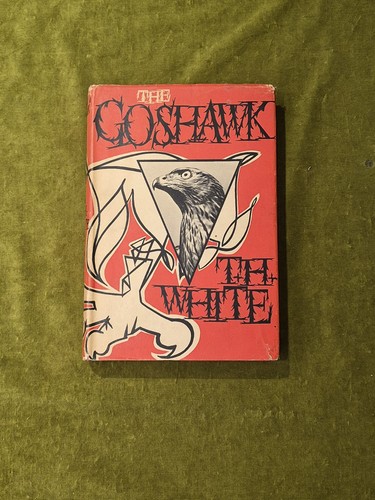 The goshawk h - h, white