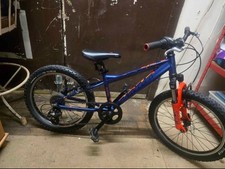 Carrera Blast Jr Mountain Bike