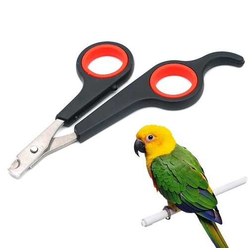 Pet nail clippers trimmer - pet,