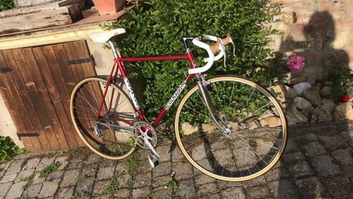Colnago mexico saronni - colnago,