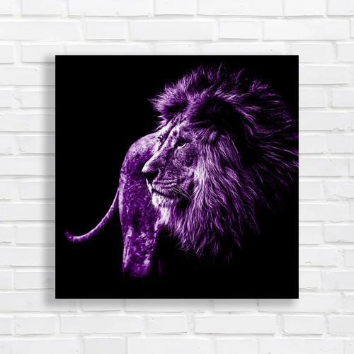 Lion the shadows square - in,