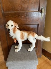 Realistic OOAK Plush Borzoi