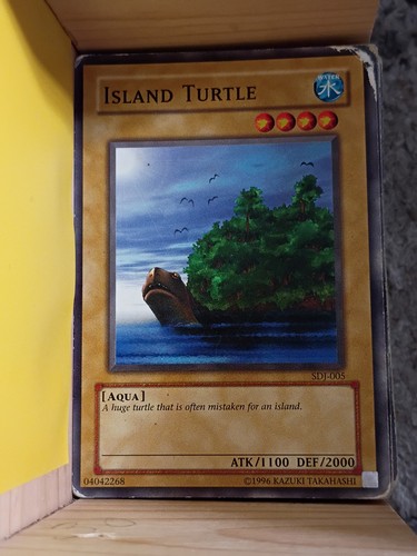 Island turtle sdj - turtle, sdj-005