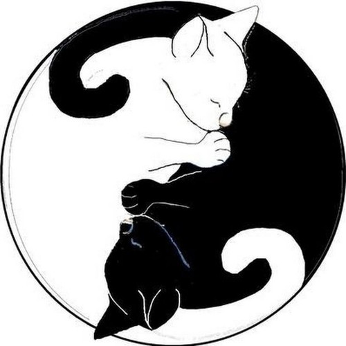 Jewelry black white ying - jewelry, yang