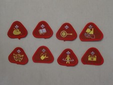 Cub Scout Proficiency/Activity