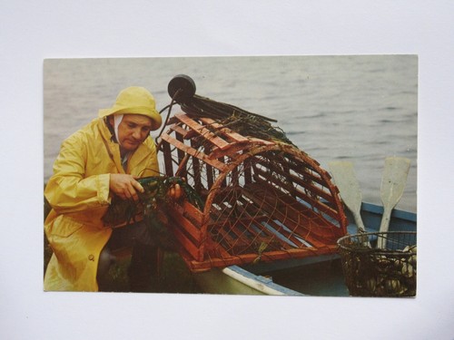 Atlantic coast fisherman - atlantic,