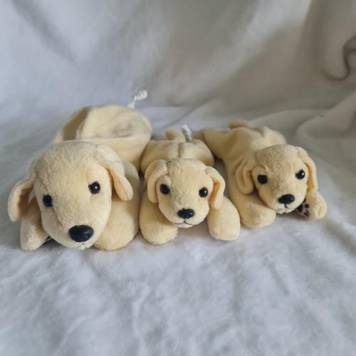 Andrex dog plush - plush, toy