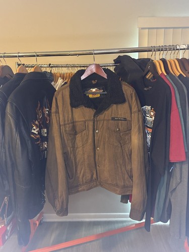 Harley davidson men - harley-davidson, brown