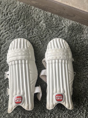 Pro players cricket - pro, batting