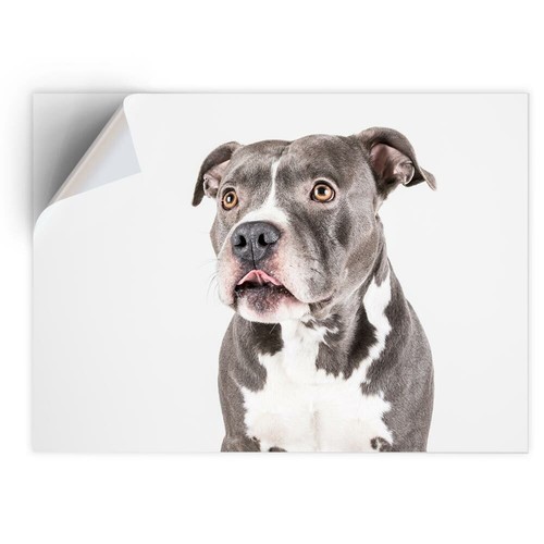 Vinyl sticker - a5,