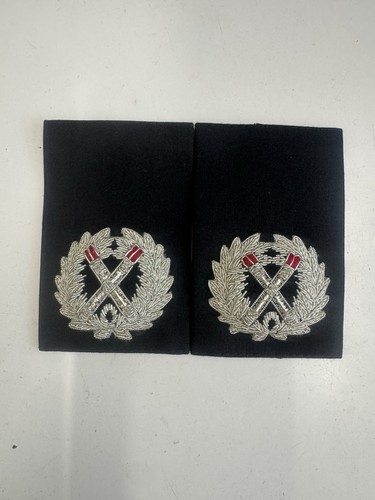 Assistant cheif constable - cheif,