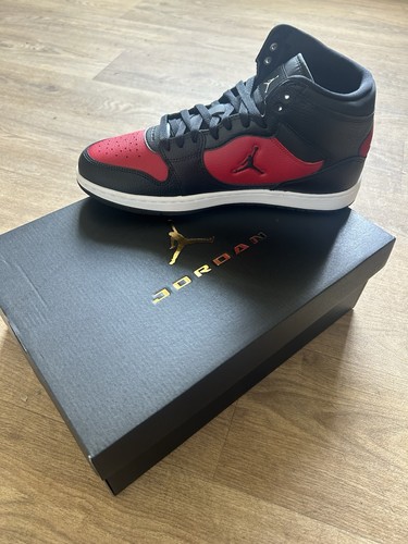 Single shoe nike - air, jordan