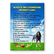 Black tan coonhound property - black,