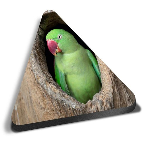 Triangle mdf magnets cute - triangle,