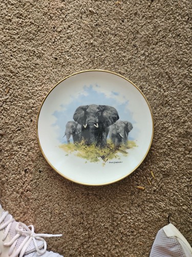 Wedgwood david shepherd - wedgwood,
