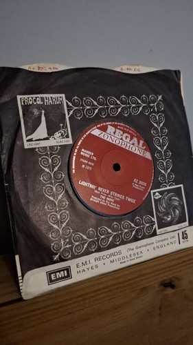 The move brontosaurus - brontosaurus,