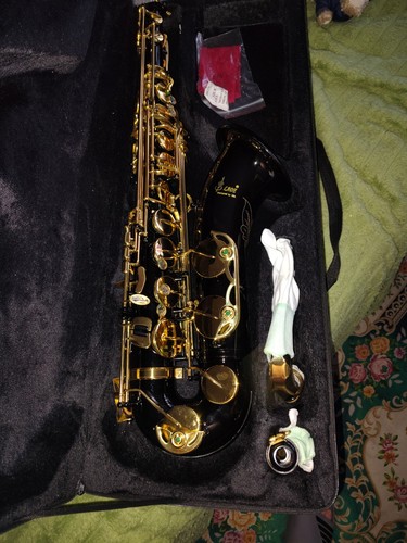 Alto saxophone with case - alto,