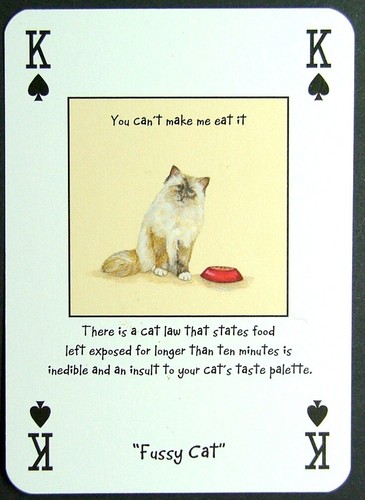 Playing card magnificent - 1, x