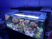 High End Aquarium - Clearance