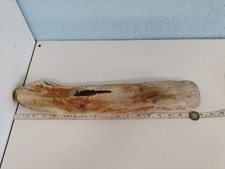 #4636 DECORATIVE  DRIFTWOOD PIECE NATURALLY WORN PIECES. ARTS & CRAFTS. Sf.9