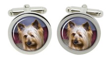 Australian Silky Terrier