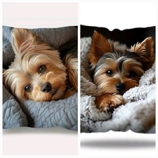 2 X YORKSHIRE TERRIER Puppy