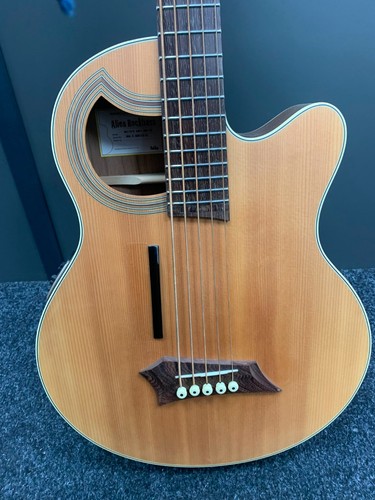 Electro accoustic guitar - electro, guitar-