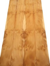 Yew Burl Veneer Burl Yew Wood