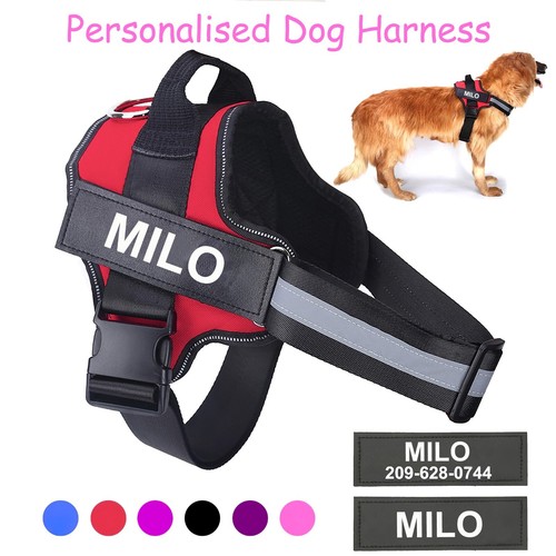Personalised dog harness - dog, no